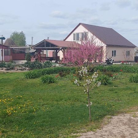Садиба Зеленого Туризму «Золота Рибка» Medvedevka Extérieur photo