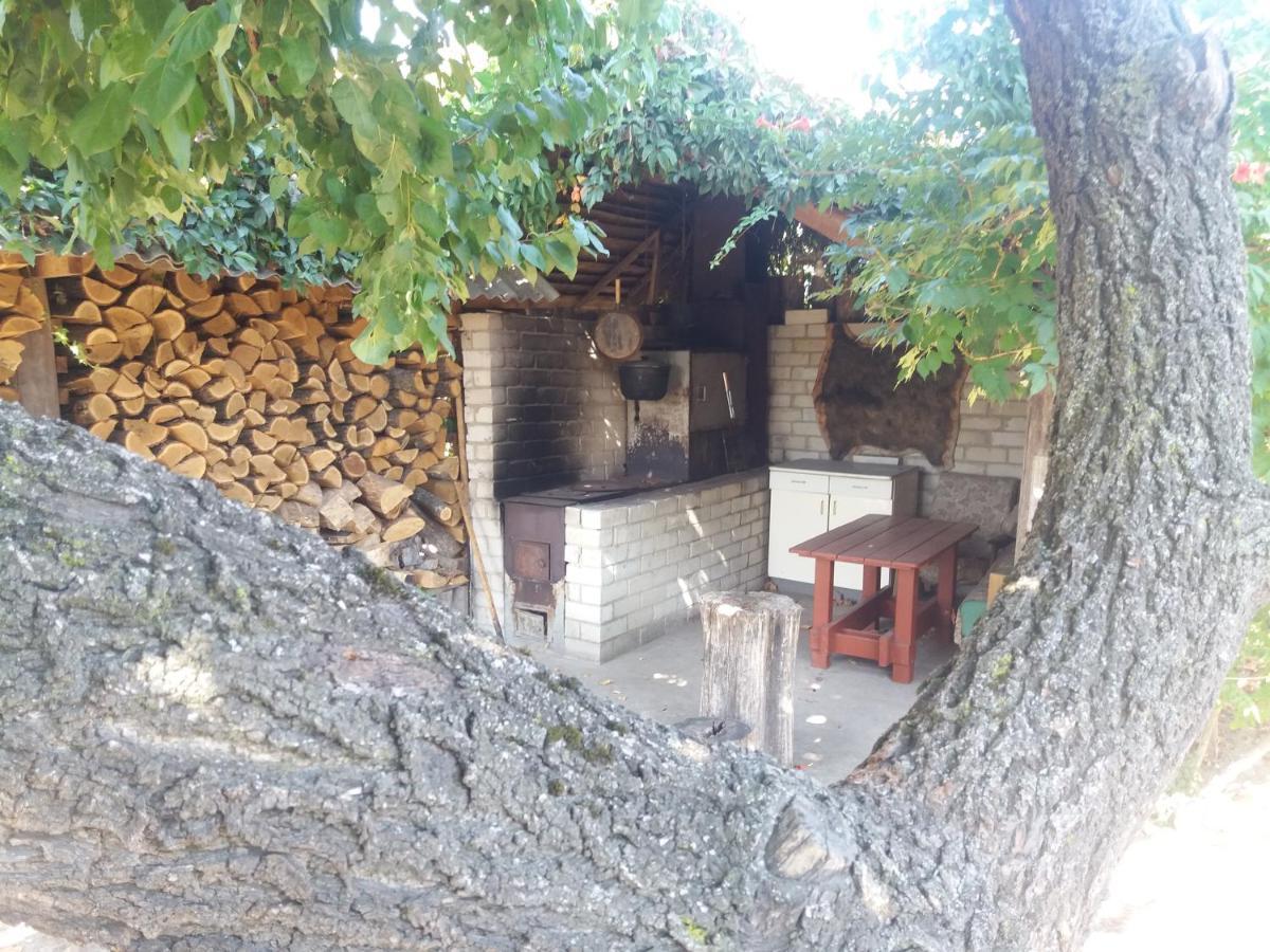 Садиба Зеленого Туризму «Золота Рибка» Medvedevka Extérieur photo