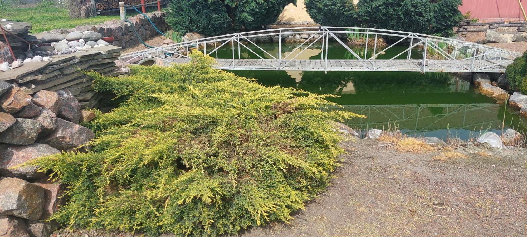 Садиба Зеленого Туризму «Золота Рибка» Medvedevka Extérieur photo
