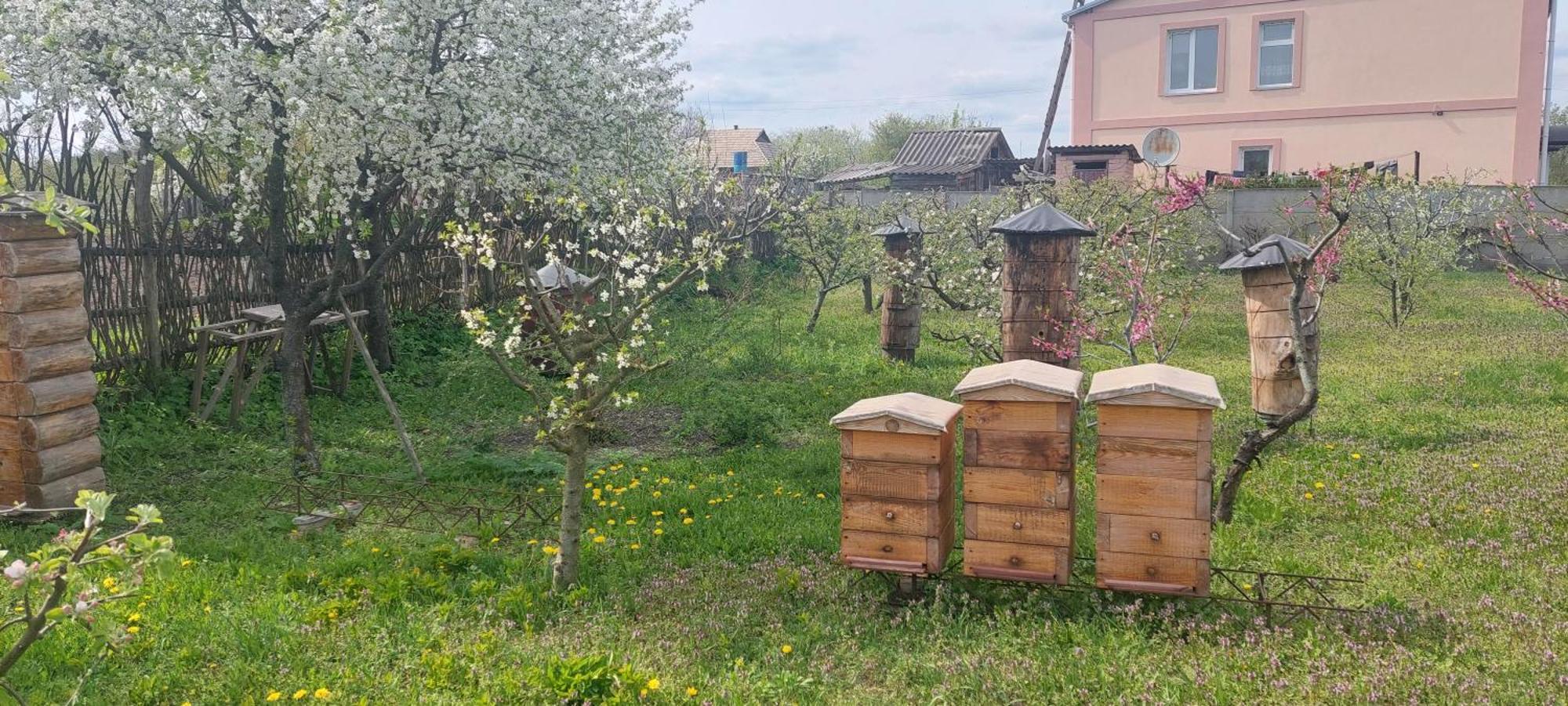 Садиба Зеленого Туризму «Золота Рибка» Medvedevka Extérieur photo